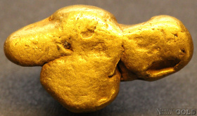 gold_nugget_5548