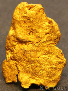 gold_nugget_5554b