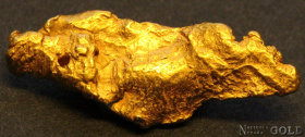 gold_nugget_5572