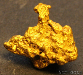 gold_nugget_5573