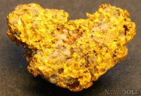 gold_nugget_5574