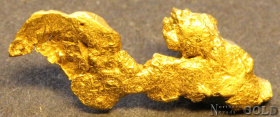 gold_nugget_5576_548005716
