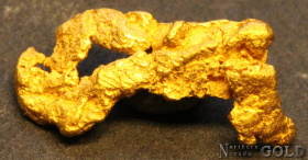 gold_nugget_5578_304301972