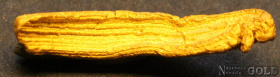 gold_nugget_5579