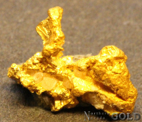gold_nugget_5580