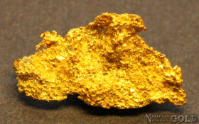 gold_nugget_5583