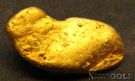 gold_nugget_5584_9909293