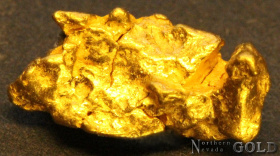 gold_nugget_5589