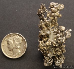 silver_specimen_4963mrco-b