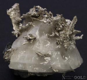 specimen_silver_5196