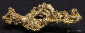 gold_nugget_5029ml