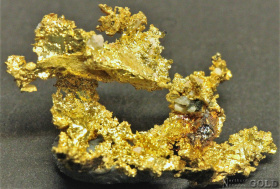 gold_specimen_4694