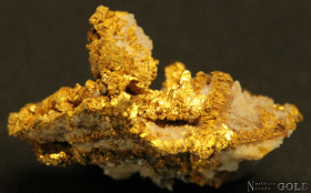 gold_specimen_4720