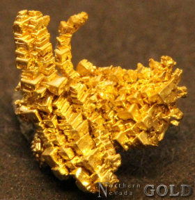 specimen_gold_4620-b