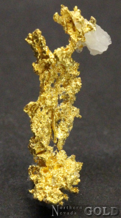 specimen_gold_4797-b