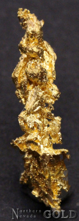 specimen_gold_4894mr-b
