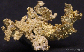 specimen_gold_5176dlz
