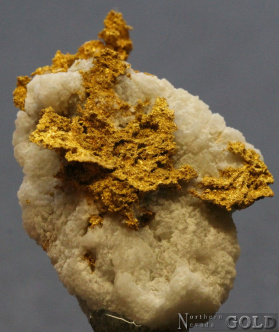 specimen_gold_5381sc