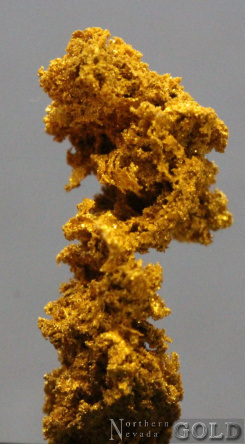 specimen_gold_5383sc-c