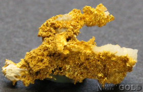 specimen_gold_5384sc