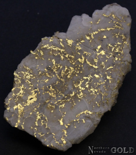 specimen_gold_5431sx-b