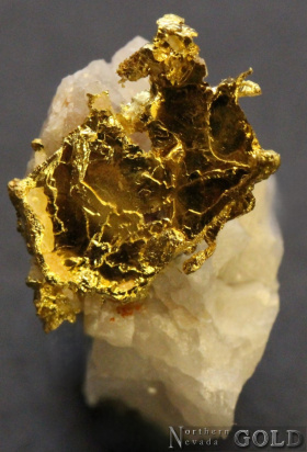 specimen_gold_5436hv-b