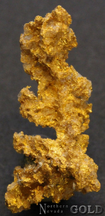 specimen_gold_5440ec-b