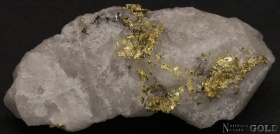 specimen_gold_5461or