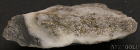 specimen_gold_5462st