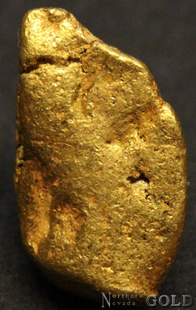 gold_nugget_5411