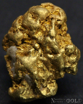 gold_nugget_5413-b