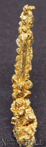 specimen_gold_4902mr