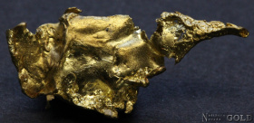 specimen_gold_5388sx