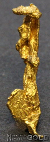 specimen_gold_5389bz-b