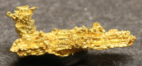 specimen_gold_5704pam